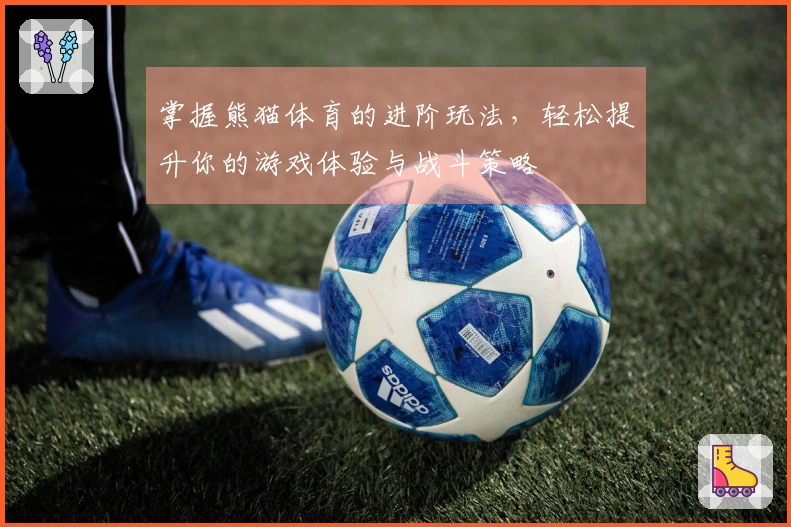 掌握熊猫体育的进阶玩法，轻松提升你的游戏体验与战斗策略